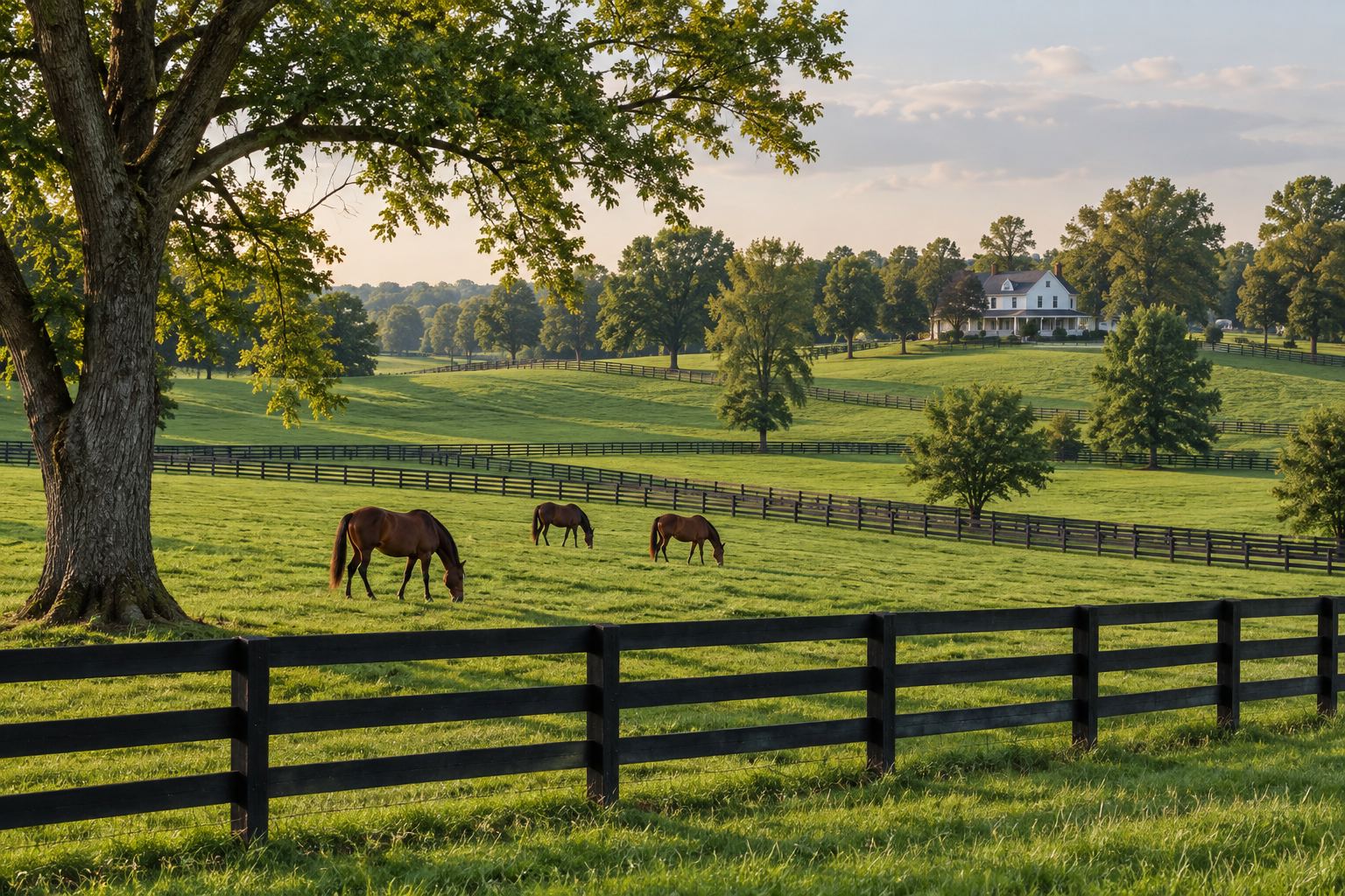 A Lexington area home, illustrative